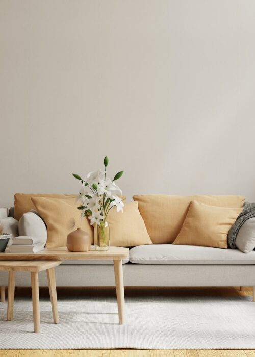 bright-cozy-modern-living-room-interior-have-sofa-plant-with-white-wall3d-rendering (1)